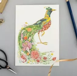 Karnet A087 B6 + koperta Rajski ptak - DM Collection