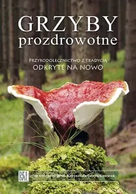 Grzyby prozdrowotne. Przyrodolecznictwo z tradycją odkryte na nowo - praca zbiorowa