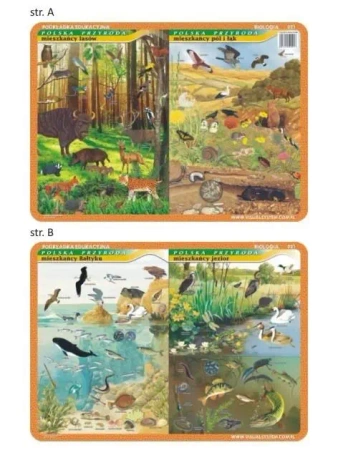 Podkładka edu. 021 - Mieszkańcy Bałtyku, jezior... - Visual System