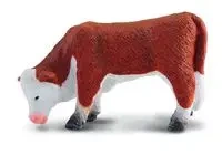 Cielę pasące rasy hereford - Collecta