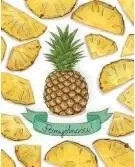 Karnet B6 Ananasy - Henry