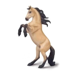 Klacz Warlander maści buckskin - Collecta