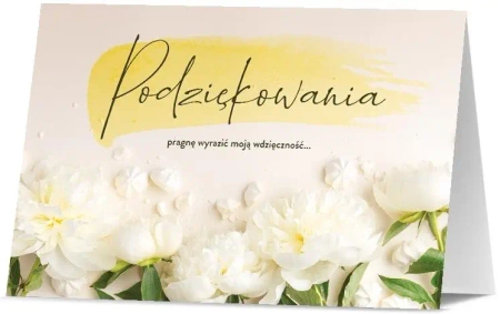 Karnet Podziękowania K. B6-1905 - Pan Dragon