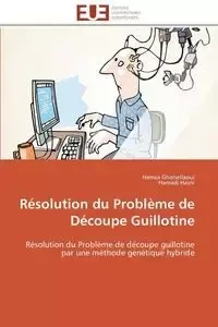 Résolution du problème de découpe guillotine - Collectif
