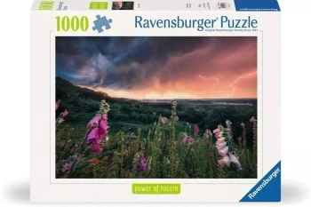 Puzzle 1000 Nadchodzi burza - Ravensburger