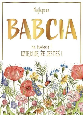 Karnet B6 Łąka Babcia - Henry