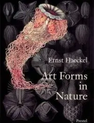 Art Forms in Nature Prints of Ernst Haeckel - Ernst Haeckel