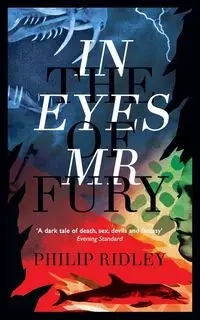 In the Eyes of Mr Fury - Philip Ridley