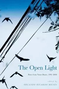 The Open Light - Menes Orlando Ricardo