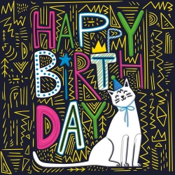 Karnet KW Kot Neon - Henry