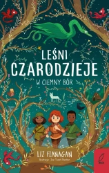 Leśni czarodzieje T.1 W ciemny bór - Liz Flanagan