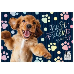 Podkład oklejany Cleo i Frank 44 DERFORM