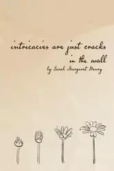 intricacies are just cracks in the wall - Henry Sarah Margaret