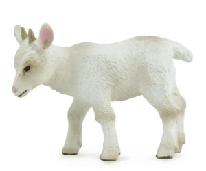 Koźlątko idące - Collecta