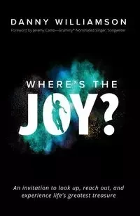 Where's the Joy? - Danny Williamson
