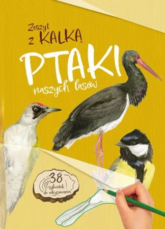 Ptaki naszych lasów. Zeszyt z kalką - Katarzyna Kopiec Sekieta