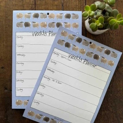 Tygodniowy planer A4/60K Owieczki - Alex Clark