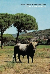 Miejsca Etrusków - David Herbert Lawrence