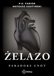 Paradoks Cnót T.2 Żelazo - P.K. Farion, Mateusz Gostyński