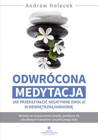 Odwrócona medytacja - jak przekształcić negatywne - Andrew Holecek