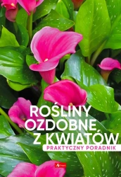 Rośliny ozdobne z kwiatów. Poradnik praktyczny - praca zbiorowa