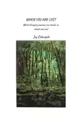 When You Are Lost - Joy Colangelo