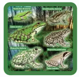 Podkładki pod kubek z płazami, zestaw 2szt - Soliton