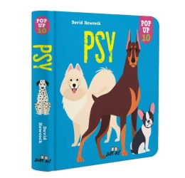 Psy pop-up - Dawid Hawcock