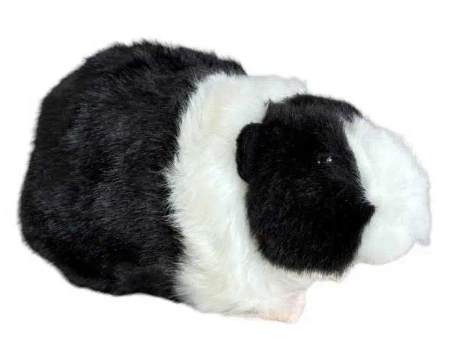 Kawia domowa czarno-biała 20cm - Dubi