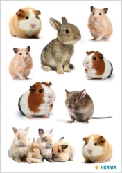 Naklejka Decor gryzonie - Herma