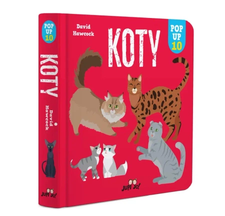Koty POP-UP 10 - David Hawcock