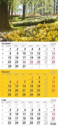 Kalendarz 2026 trójdzielny Leśne kwiaty - praca zbiorowa