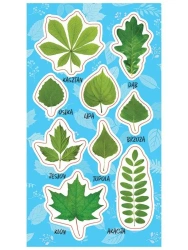 Naklejki Wiosenne liście - Ranok-Creative