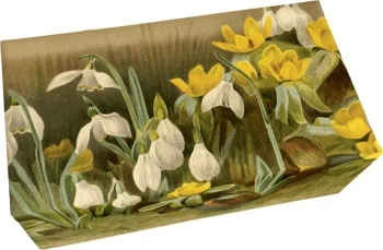 Mydło 200g zapach cytrynowy - Skona Ting