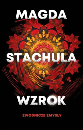 Zwodnicze zmysły T.1 Wzrok - Magda Stachula