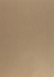 Karton kolorowy 170g A4 (25szt) brązowy - GDD