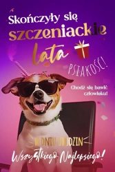 Karnet Urodziny - Armin Style