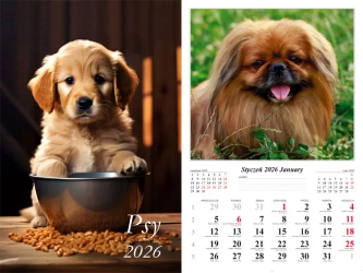 Kalendarz 2026 ścienny Psy - praca zbiorowa