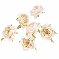 Główki kwiatowe kamelia ecru 5cm 6szt - Dalprint dpCraft