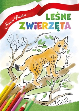 Nasza Polska. Leśne zwierzęta - praca zbiorowa