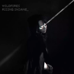 Wildfires, CD