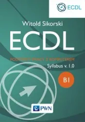 ECDL. Podstawy pracy z komputerem Moduł B1 - Witold Sikorski
