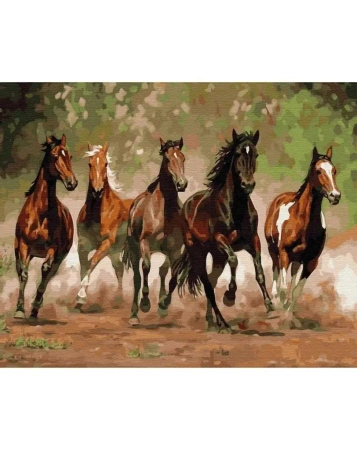 Malowanie po numerach - Stado koni 40x50cm - Twoje Hobby