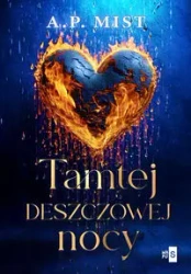 Tamtej deszczowej nocy - Mist A.P.