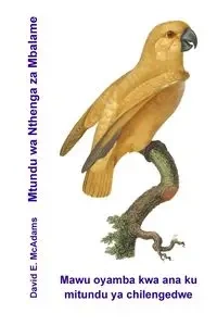 Mtundu wa Nthenga za Mbalame - David E. McAdams
