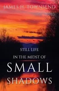 Still Life in the Midst of Small Shadows - James Townsend H