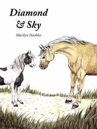 Diamond & Sky - Marilyn Hoobler E