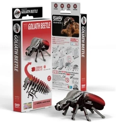 Chrząszcz Goliat Eugy. Eko Układanka 3D - Eugy