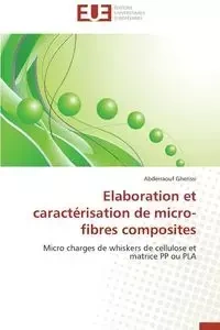 Elaboration et caractérisation de micro-fibres composites - GHERISSI-A