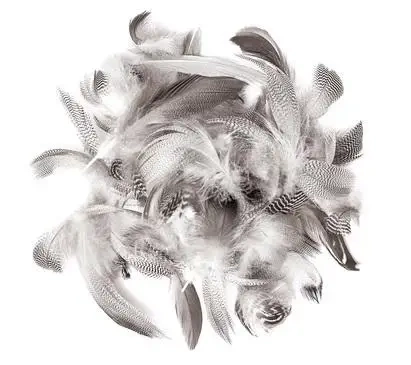 Pióra Kacze 5-12cm 5g - Dalprint dpCraft